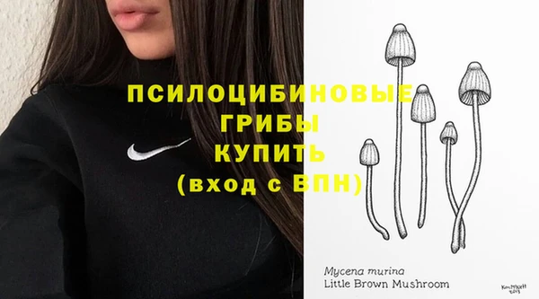 метамфетамин Алексин
