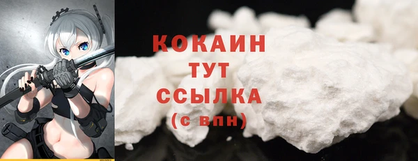 хмурый Алзамай