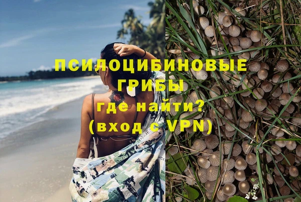 хмурый Алзамай