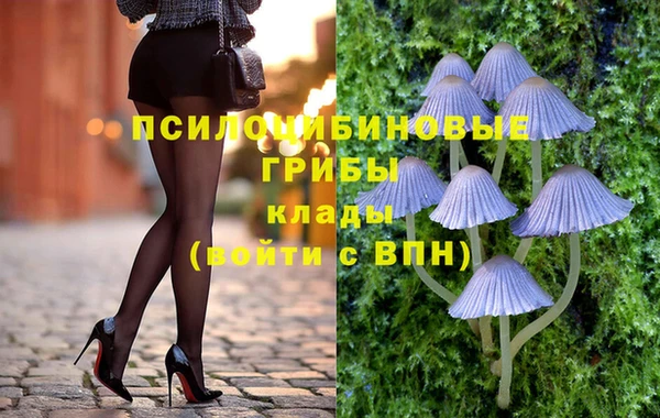 хмурый Алзамай