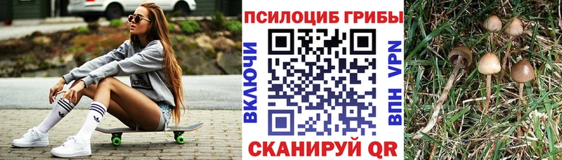 Галлюциногенные грибы Cubensis  Пермь 